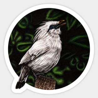 Bali starling Sticker